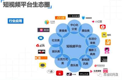 破解增量难题，移动互联网步入SDPA时代 社交媒体行业的新航向
